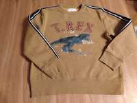 Bluza dinozaury Trex Next 134