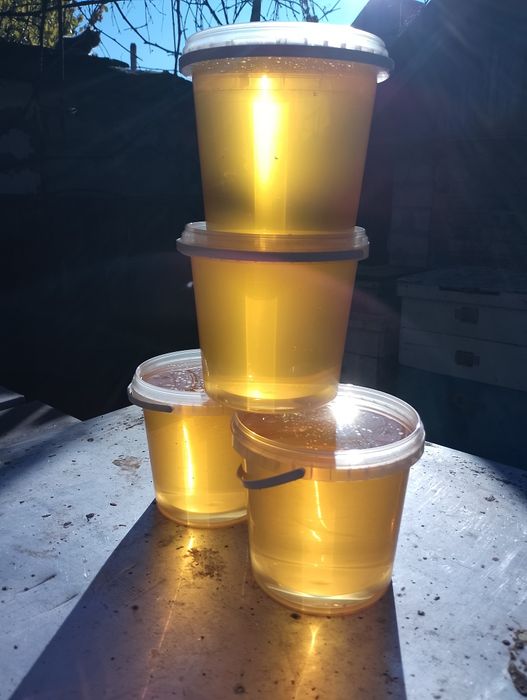 Мед акація натуральний 2025 року з власної пасіки