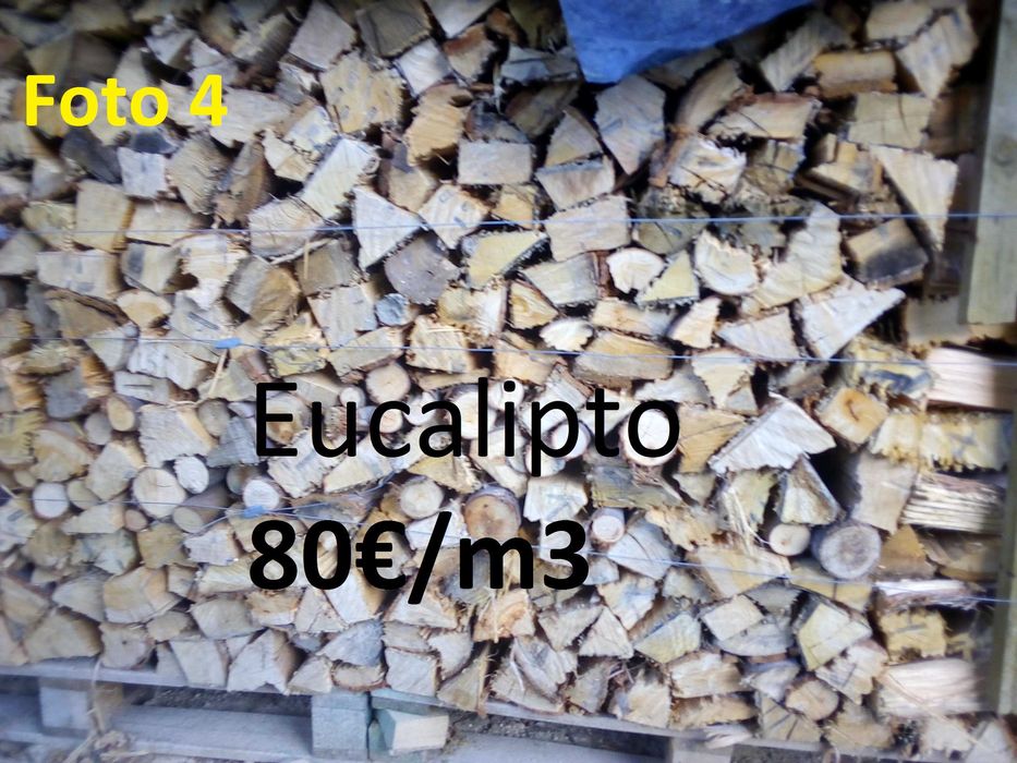 lenha seca rachada