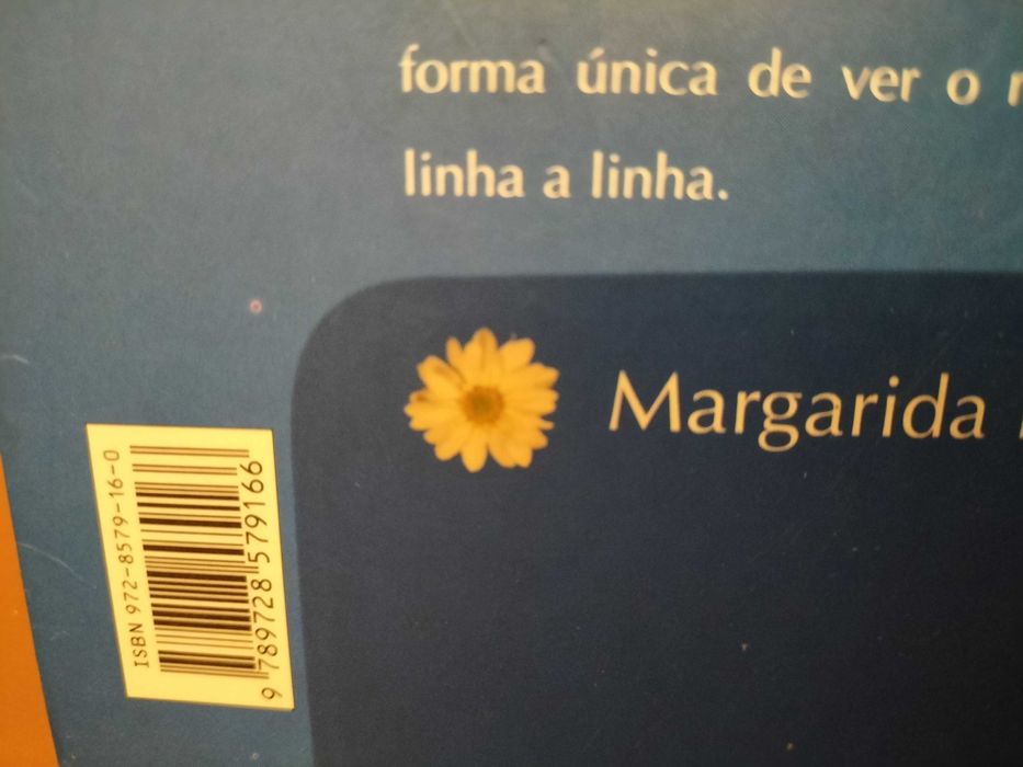 As crónicas da Margarida - Margarida Rebelo Pinto