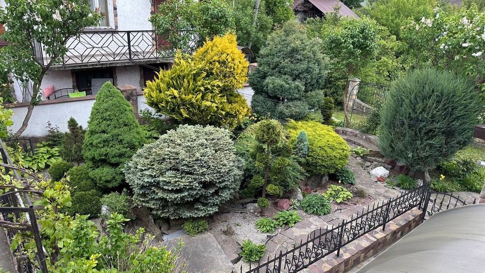 Продаж особняка в центрі міста