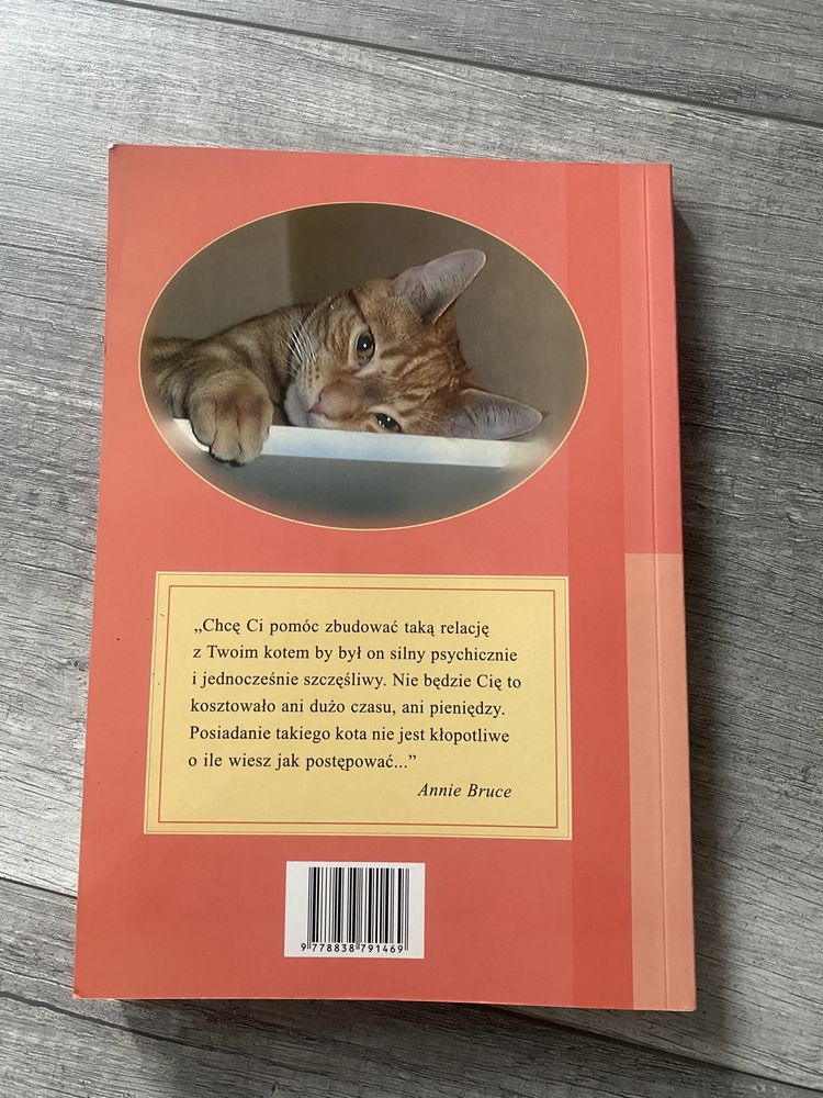 Kot doskonaly Annie Bruce poradnik