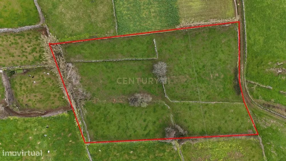 Terreno rústico na freguesia da Ribeirinha