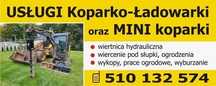 Koparko-ładowarka, mini koparka