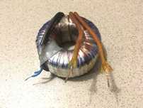 transformator 230/12V 50VA