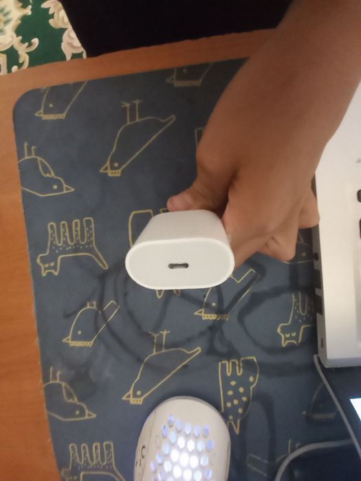 Ladowarka apple orig