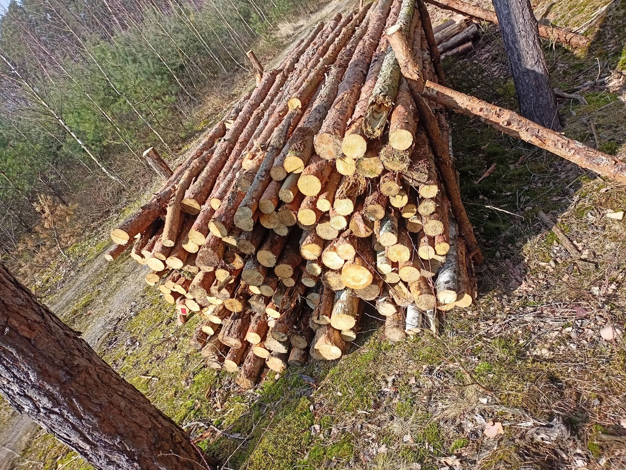 Sprzedam drewno opałowe SUCHE