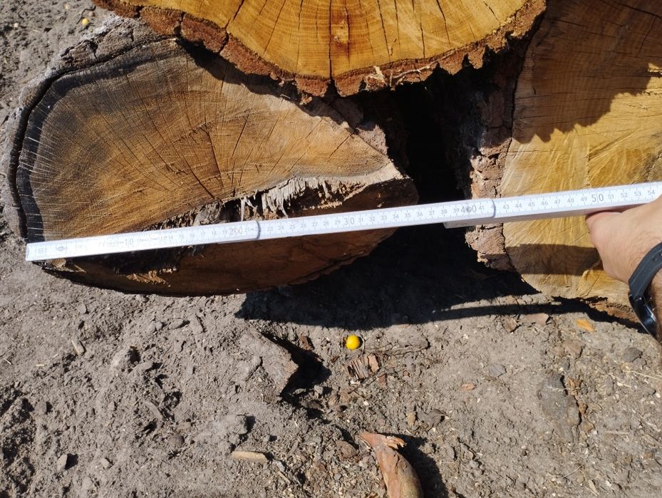 Drewno dąb w klockach około 1,25m3