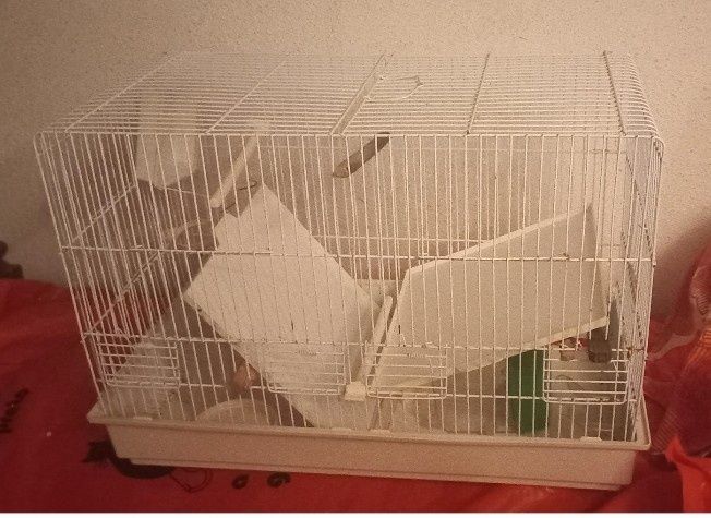 Gaiola para passaros com acessorios