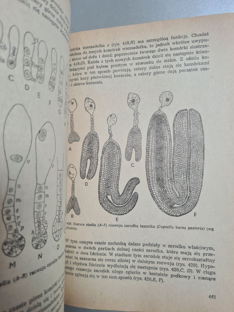 Anatomia roślin - Edmund Malinowski