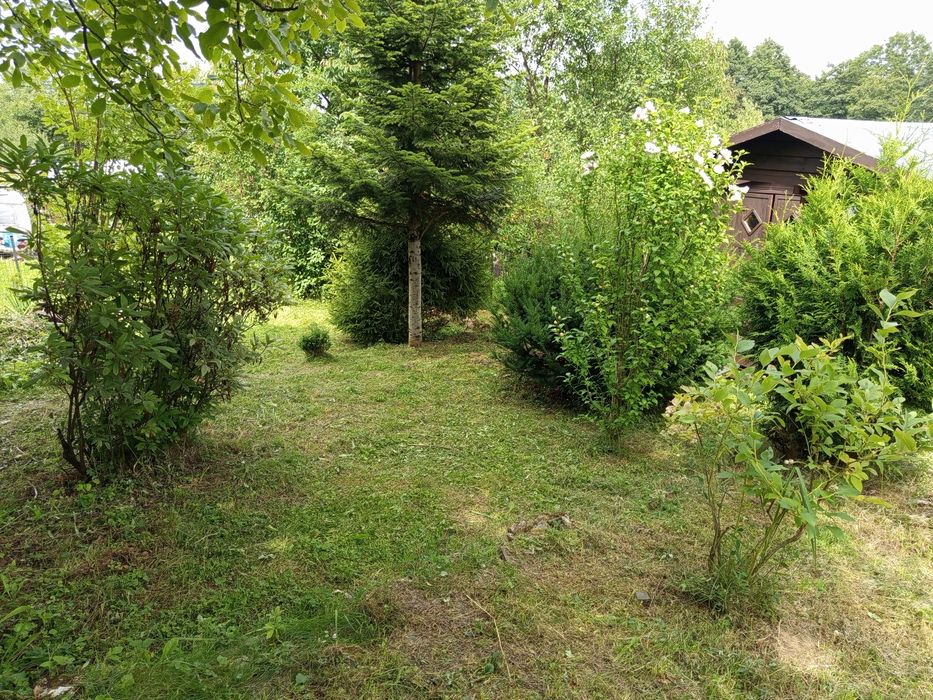 Działka ROD Lipnik