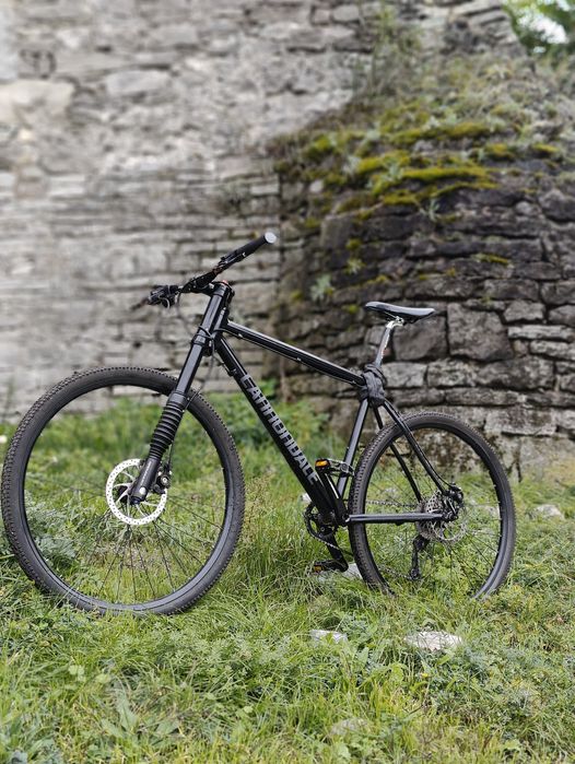 Cannondale Lefty як bad boy