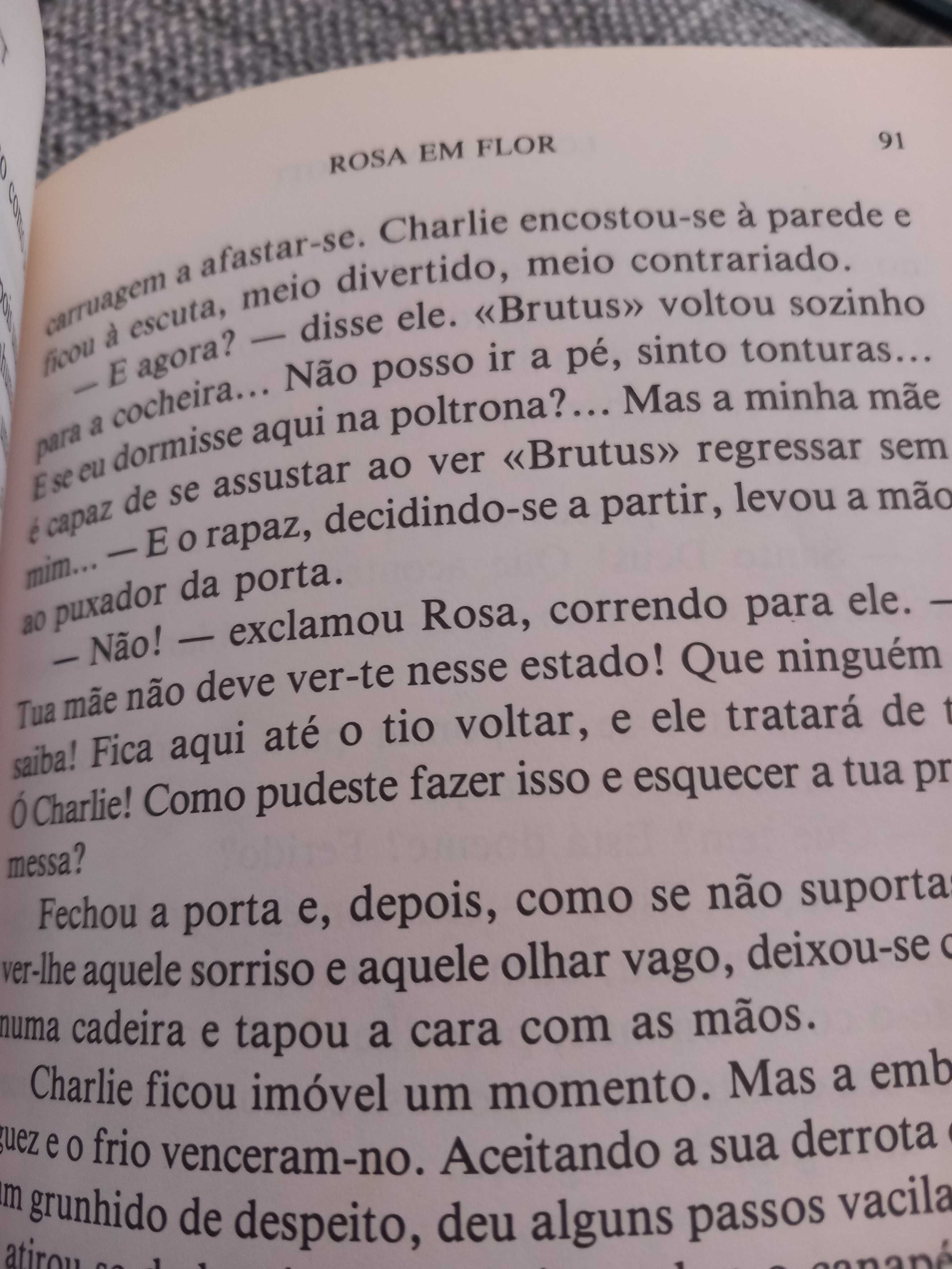 Rosa em Flor - romance de Louisa May Alcott (de As Mulherzinhas)