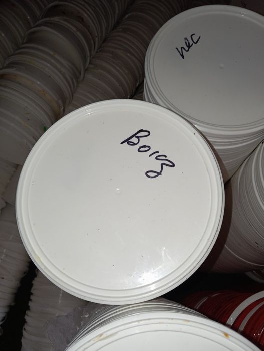 Продам б/у ведра 5лт