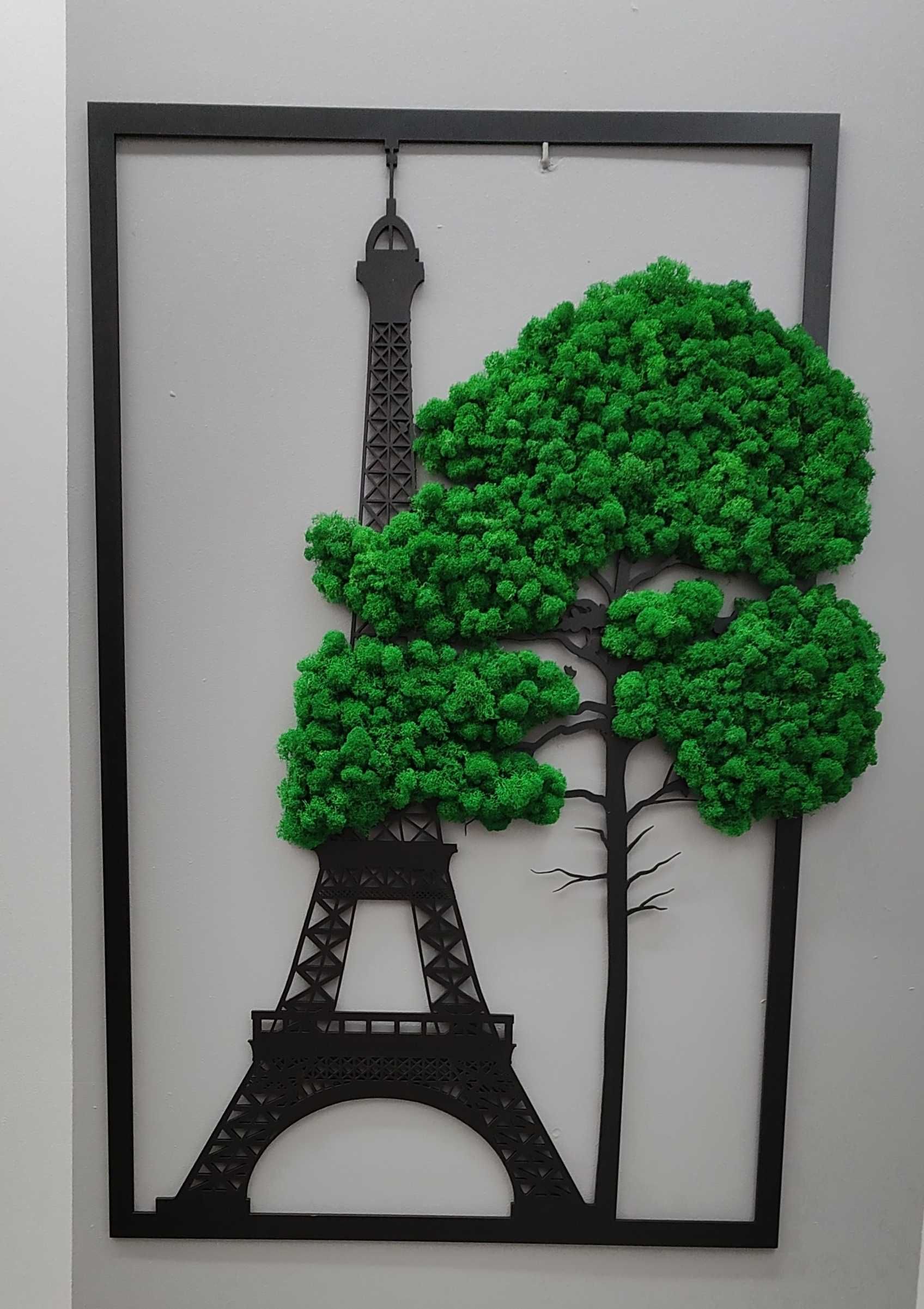 Obraz Wieża Eiffla z mchem mech; różne rozmiary piękny Paryż Francja