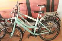 rower damka ,rower trekkingowy,Damka  mustang ,rower holenderski