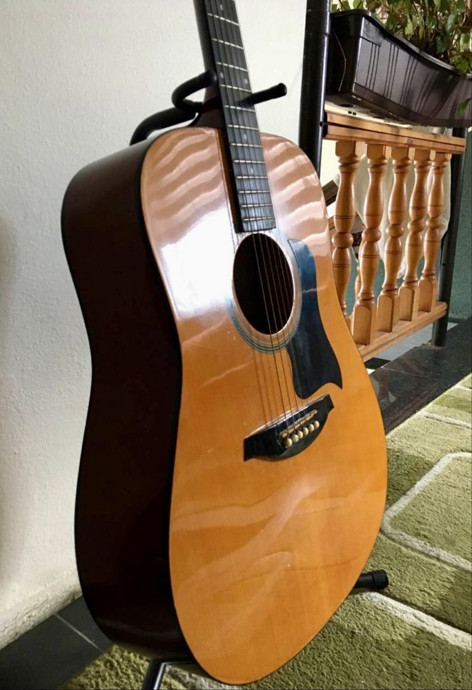 Hohner HW 220 ( Відео )