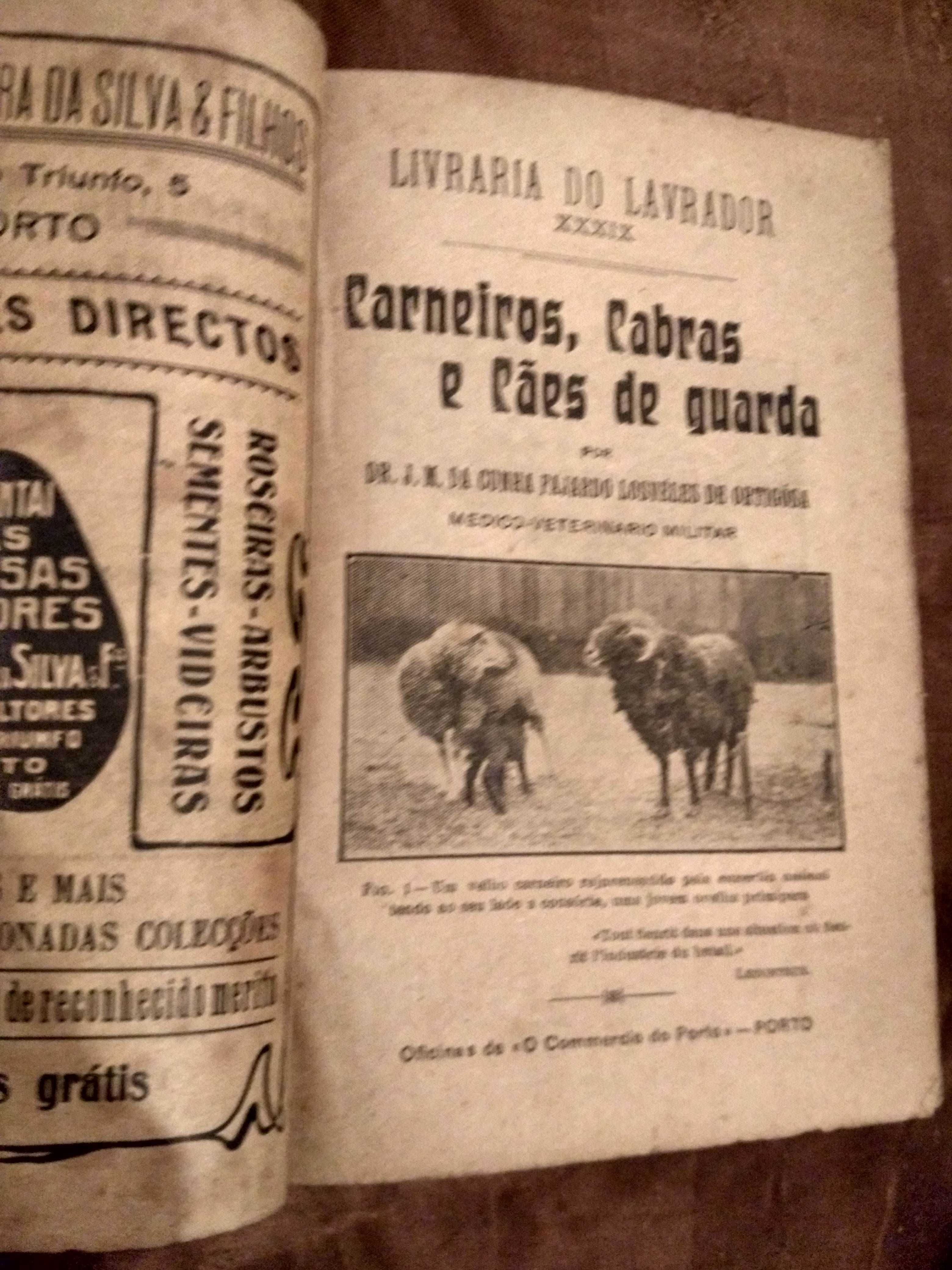 "Carneiros, Cabras e Cães de guarda" -Livraria do Lavrador- 1.ª edição