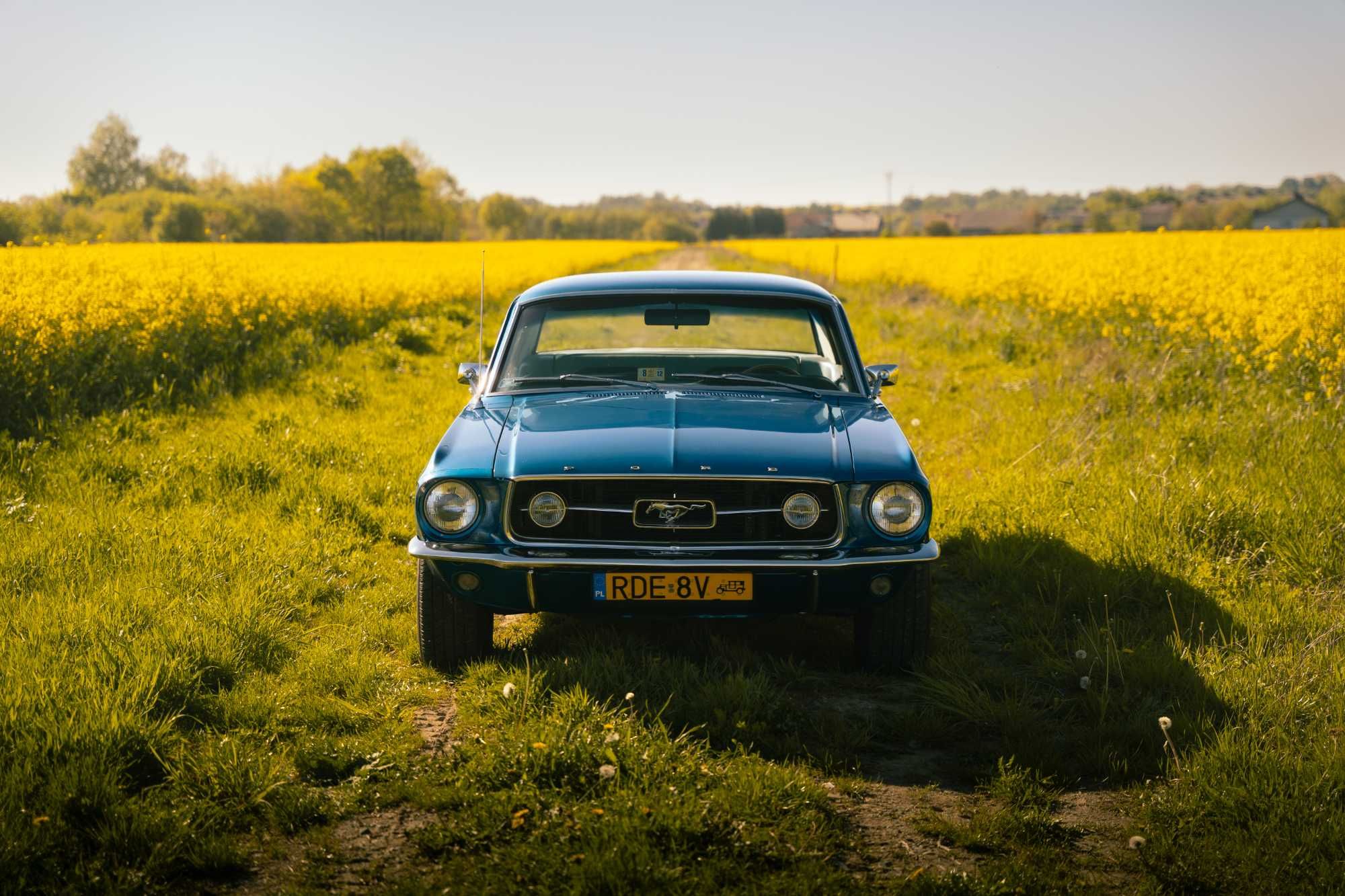 Wynajem Ford Mustang 1967 4.7 V8 na ślub, sesje, specjalne okazje