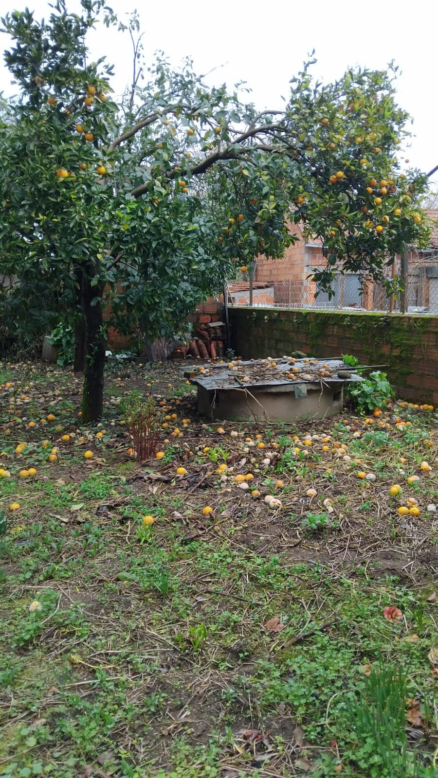 Vende  moradia bem localizada estrada principal
