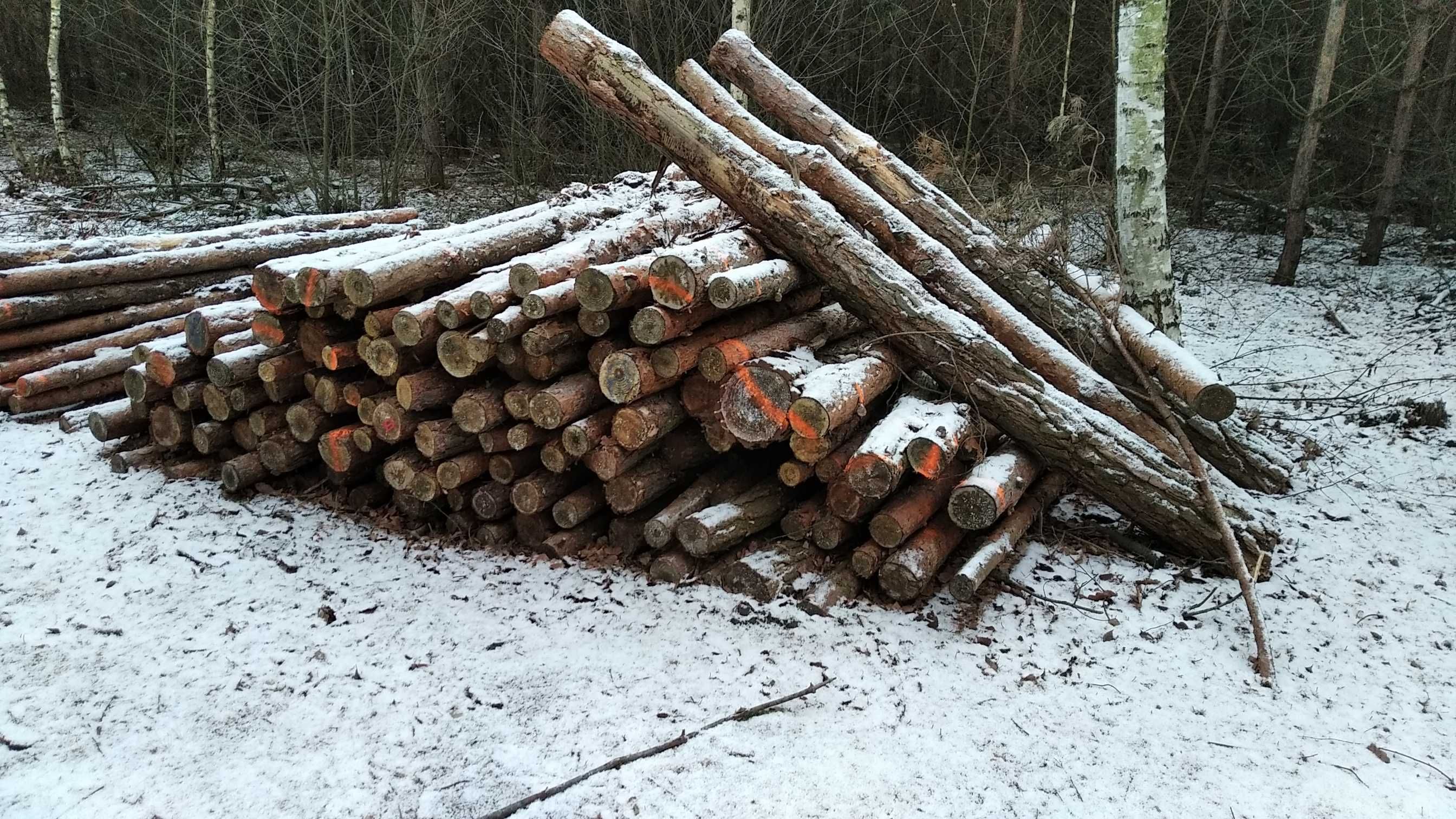 Cięcie i rąbanie drewna