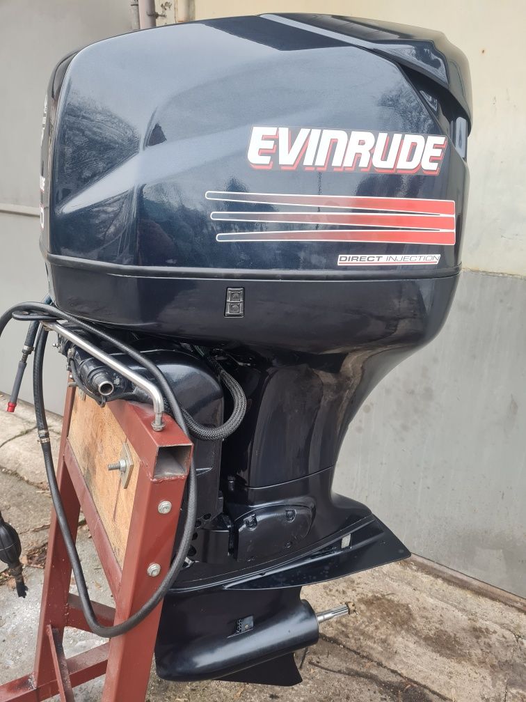 Evinrude ficht 100