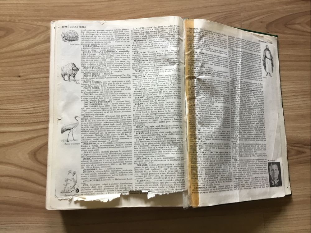 Encyklopedia PWN