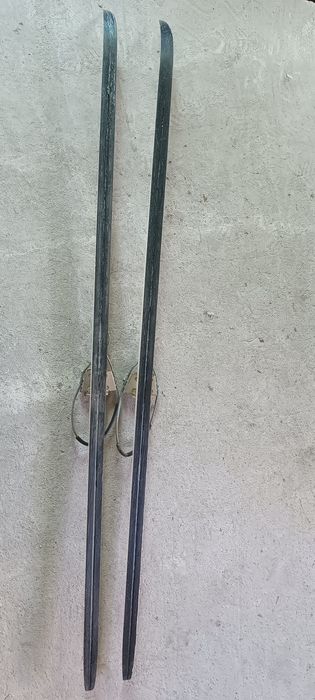 Лижі Тиса Fisher