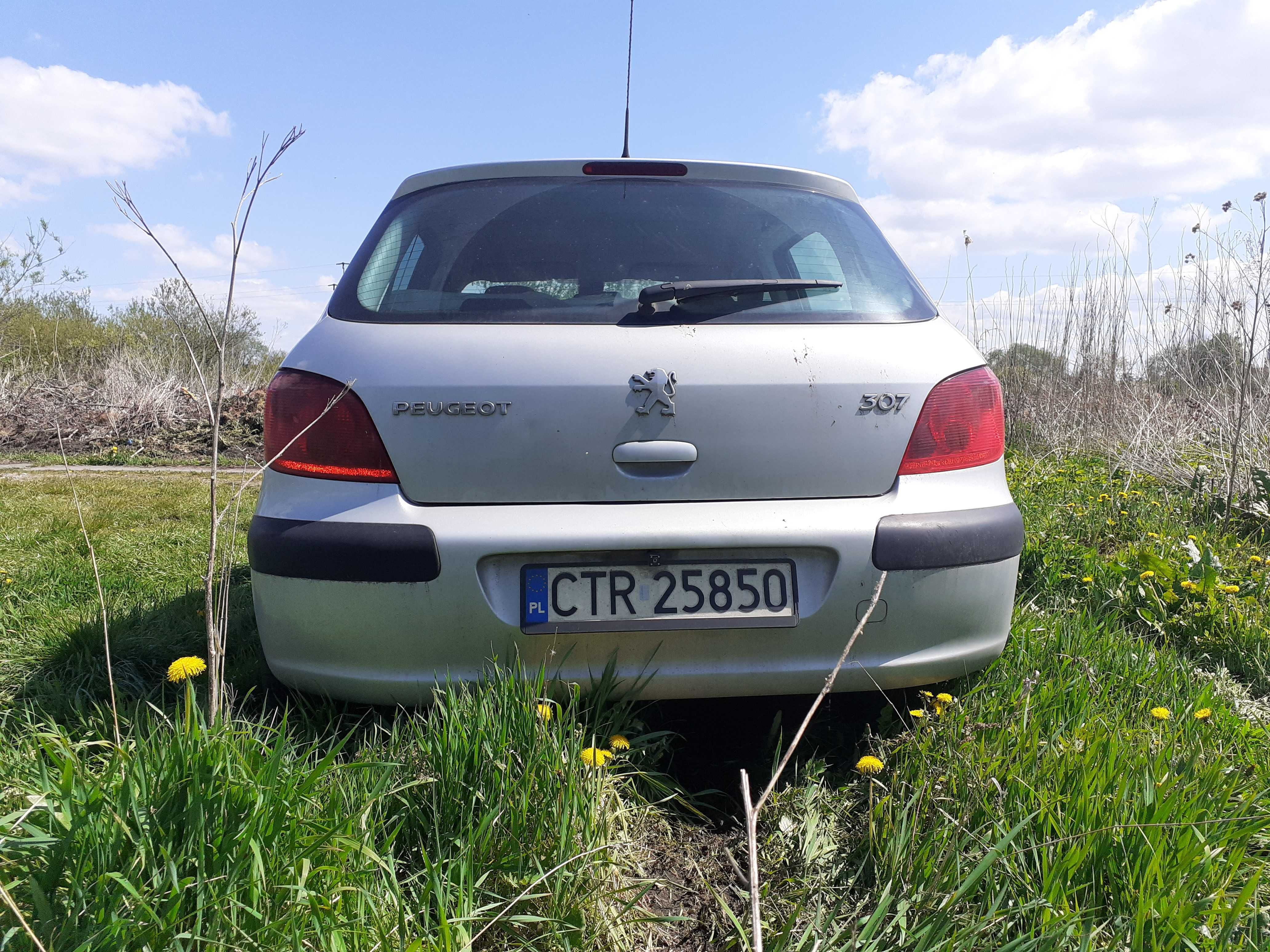 PEUGEOT 307 hatchback  2004