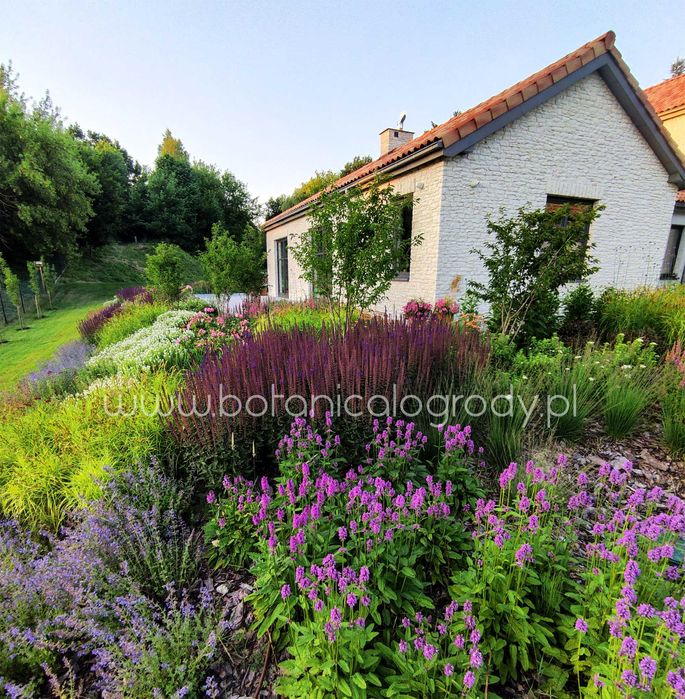 Projektowanie ogrodów, ogrody naturalistyczne, Warszawa/Lublin