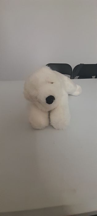 Pluszak - Niedźwiedź polarny