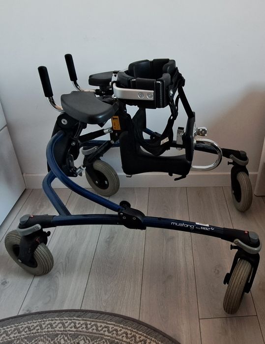 Pionizator dynamiczny mustang R82