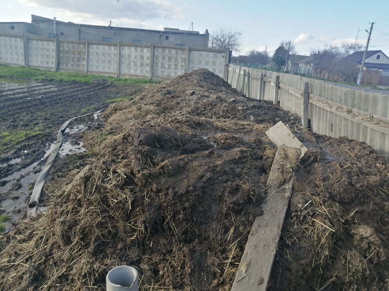 Гній коров'ячий для огороду