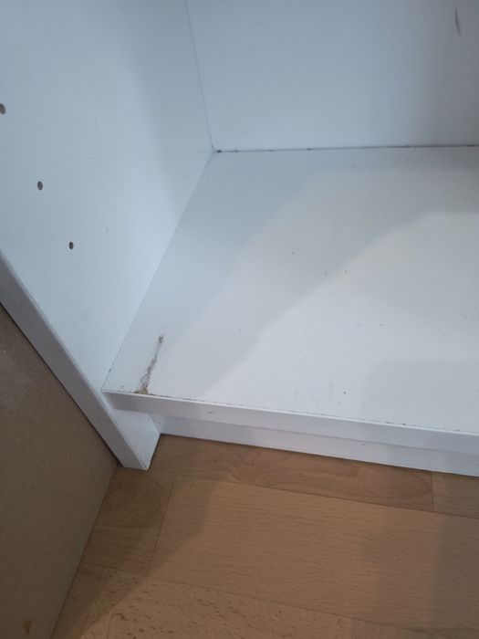 Regał pojedynczy Billy Ikea
