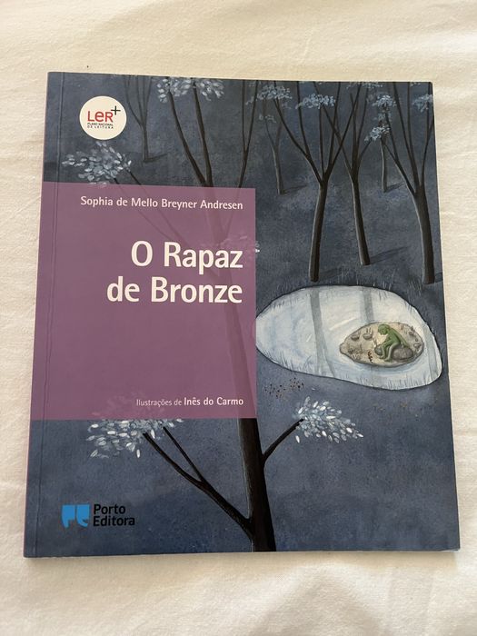 Livro O Rapaz De Bronze