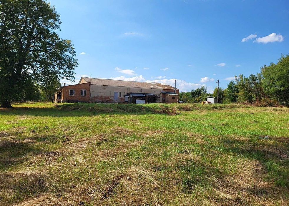 Оренда комерційного приміщення в Некрасове (Юзвин)