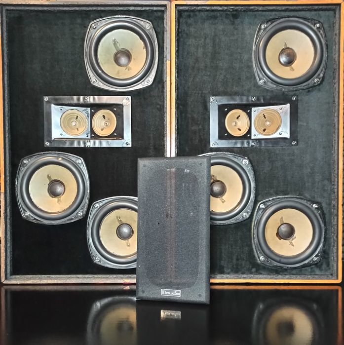 Maudio maskownica z emblematem