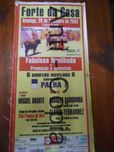 Toiros - Programas em Seda 4
