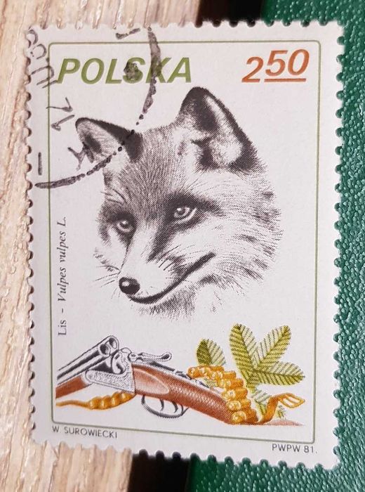 Znaczek Lis Strzelba 1981 r Polska