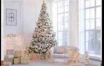 Fundo fotográfico de Natal