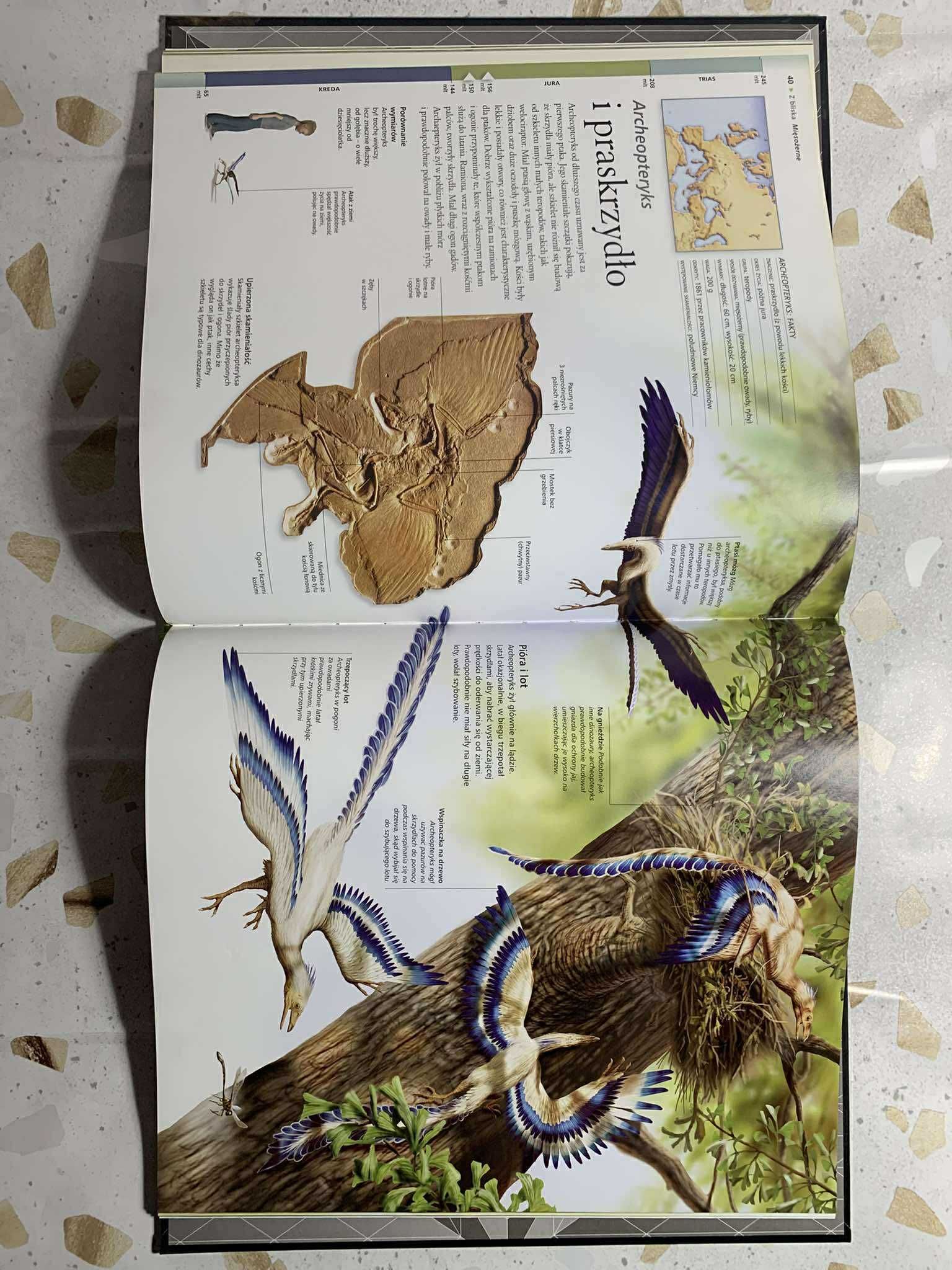 Dinozaury z bliska - stan bardzo dobry
