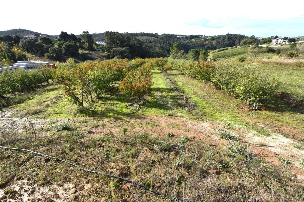 Terreno com viabilidade construção