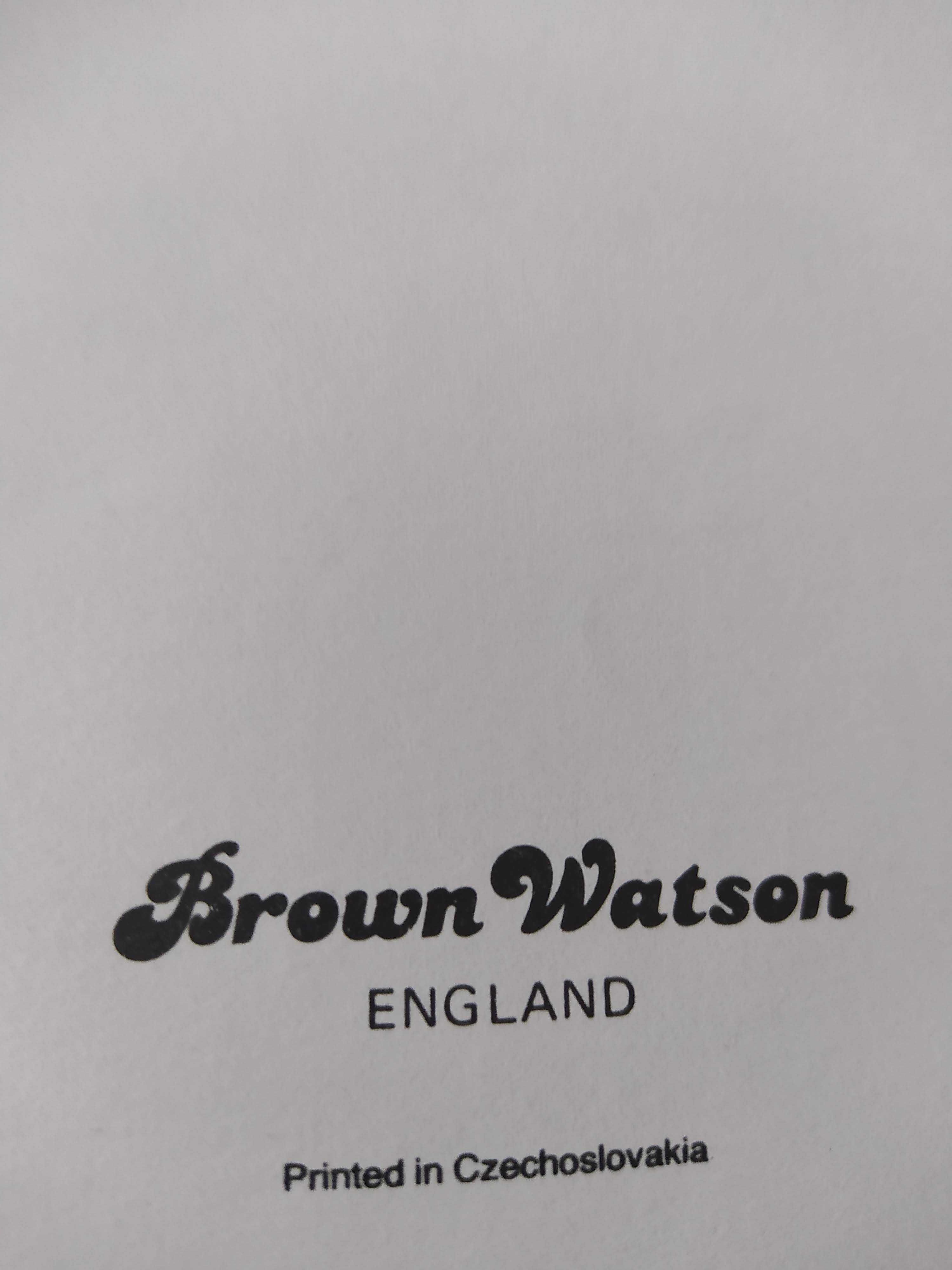 Książka po angielsku słownik Concise Family Dictionary Brown Watson