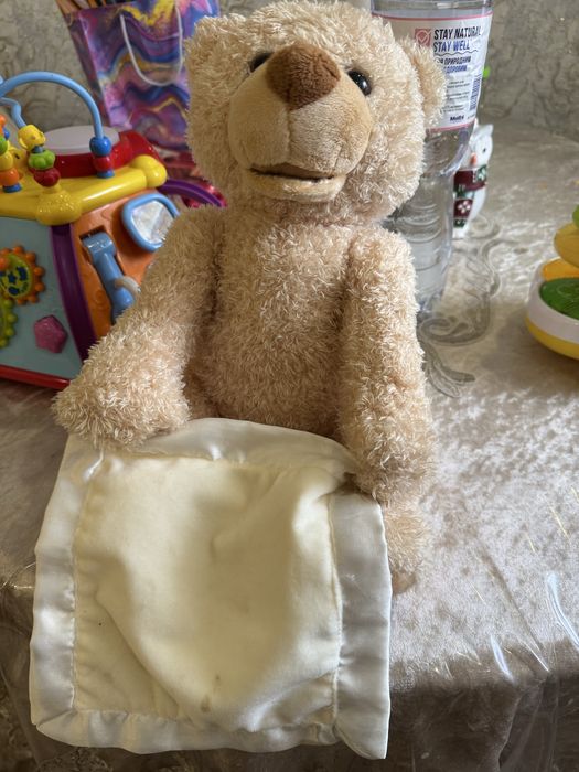 Ведмедик схованки