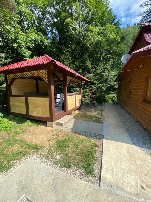 Здається в оренду будинок у Карпатах біля водоспаду в с. Татарів