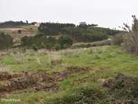 Terreno com poço, perto dos Campelos, Torres Vedras