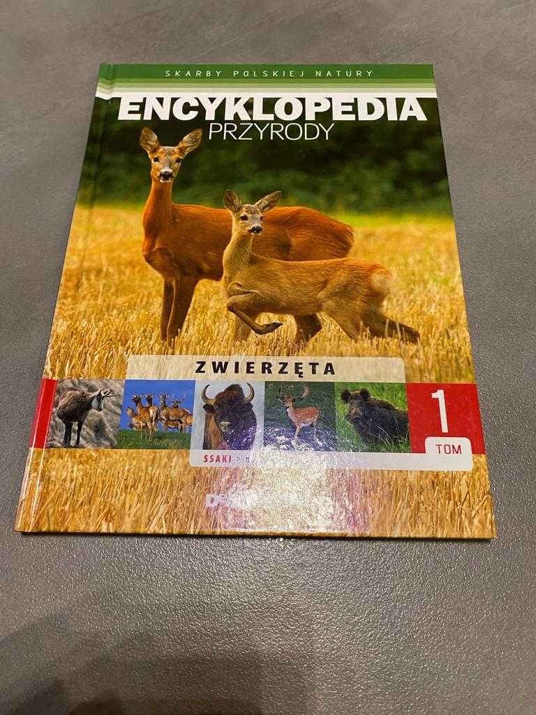 Skarby Polskiej Natury - Encyklopedia przyrody - ssaki parzystokopytne