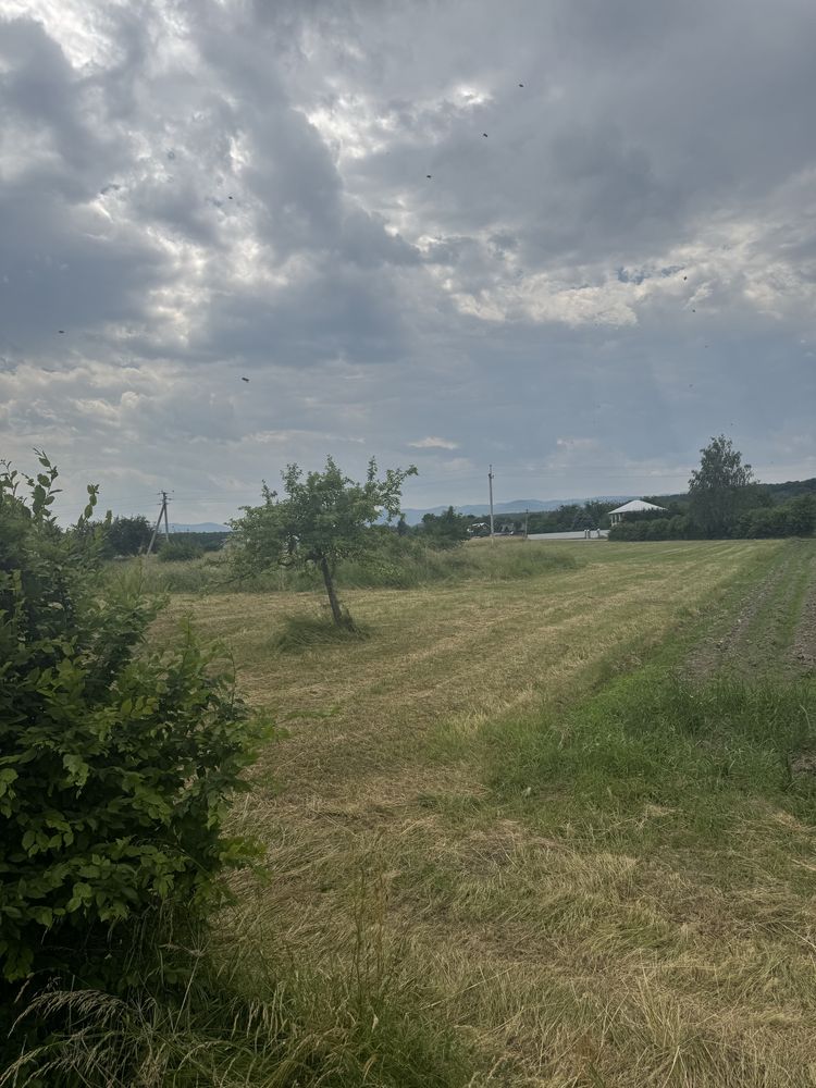 Терміново продається земельна ділянка!
