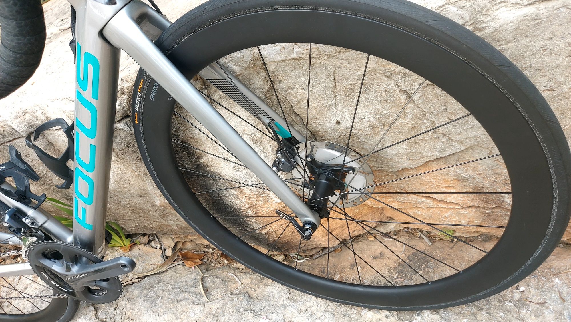 Focus Izalco Max t49 dicotomia di2