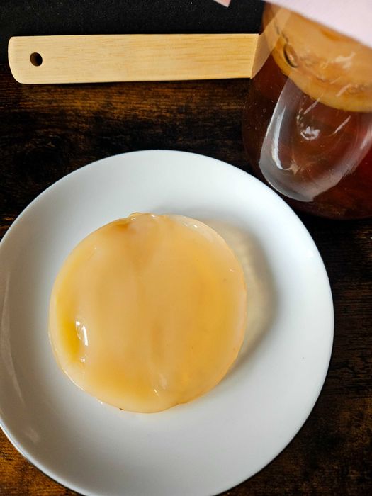 Grzybek herbaciany SCOBY – kombucha do domowej herbaty probiotycznej